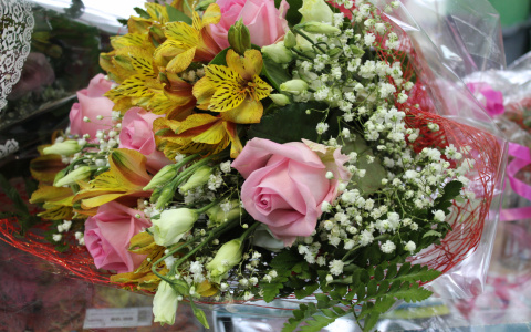 Бриллианты и парфюм: что хотят получить на 8 марта йошкаролинки