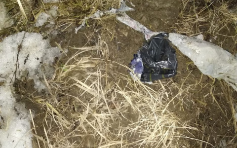 Следователи разыскивают мать новорожденного, найденного в поле на окраине Йошкар-Олы