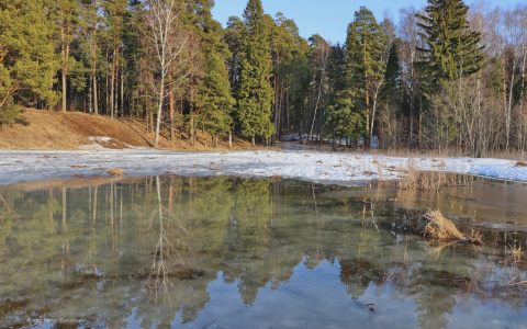 В Марий Эл завтра «придет» сильный ветер
