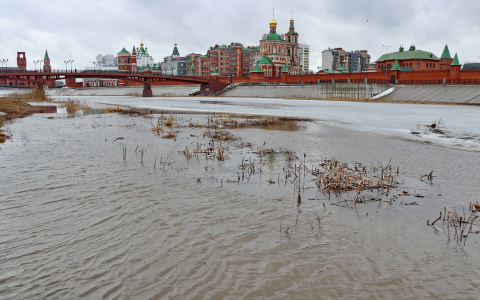 О погоде в Йошкар-Оле - в выходные пройдут с дождем и мокрым снегом
