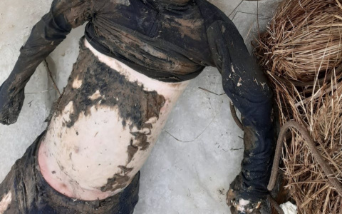 В Марий Эл из Волги вытащили тело мужчины