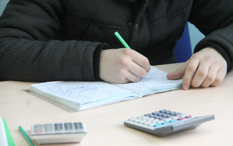 Из-за коронавируса в Марий Эл перенесут дату проведения «Тотального диктанта-2020»