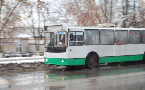 В Йошкар-Оле обрабатывают троллейбусы из-за коронавируса