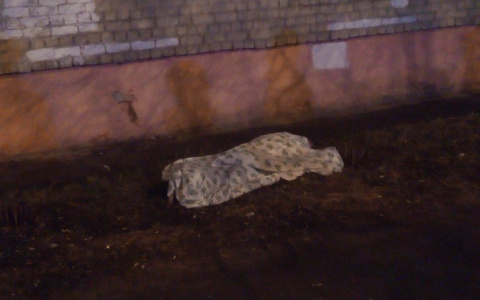 «Скончался на месте происшествия»: в Йошкар-Оле поздно ночью из окна выпал мужчина