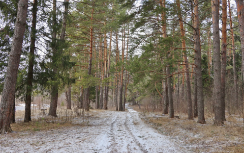 В Марий Эл сезон охоты откроется на неделю раньше