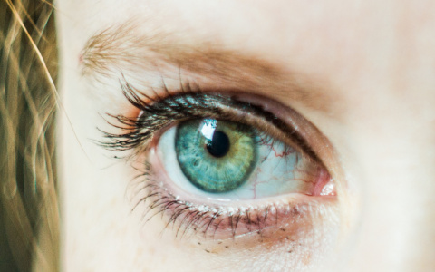 Тест дня: проверьте свое зрение, найдя на картинках спрятанное животное