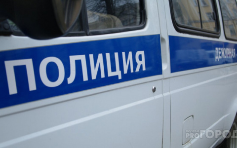 Весь личный состав полиции Марий Эл разыскивает похитительницу новорожденной девочки из роддома