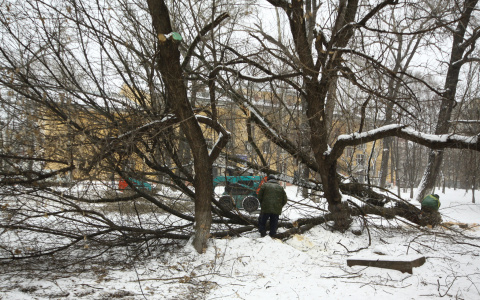 В Марий Эл проходят Дни экологической защиты