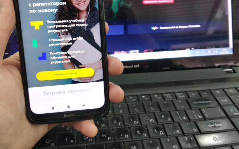 Выучить английский и стать гением маркетинга: чем йошкаролинцы могут бесплатно заняться на карантине