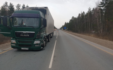 В Марий Эл на Казанском тракте столкнулись легковушка и большегруз