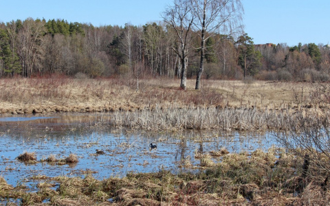 Pro Город поучаствовал в проекте «Марий Эл против коронавируса»