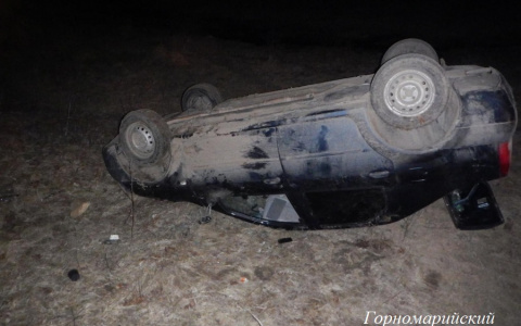 В Марий Эл пьяный водитель иномарки улетел в кювет с дороги