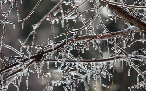 На выходных в Марий Эл вернется зима
