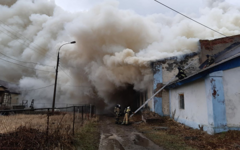 Около полусотни пожарных тушили бывший деревообрабатывающий цех в Волжске