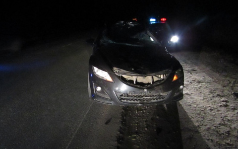 На трассе Йошкар-Ола-Уржум водитель Mazda сбил лося