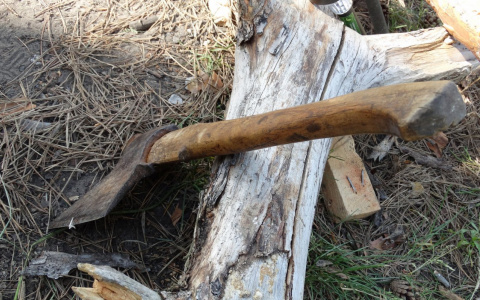 Житель Марий Эл, забивший насмерть друга топором, окажется в суде