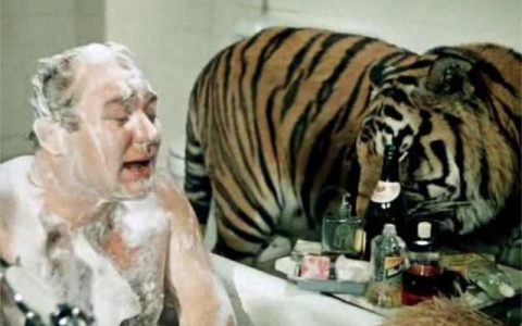 Тест дня: хорошо ли вы знаете фильмы о животных