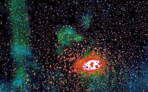 «Вода дошла до третьего этажа»: в Йошкар-Оле из-за дождя затапливает многоквартирный дом