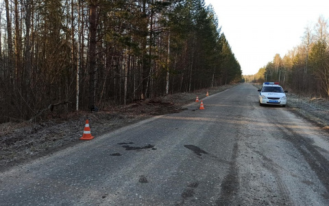 «Пытались объехать кабана»: в Марий Эл парень с девушкой разбили отечественную легковушку
