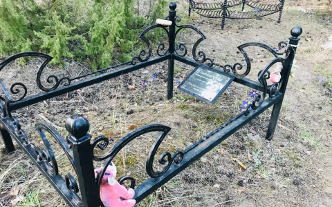 Йошкаролинка нашла в лесу кладбище домашних животных