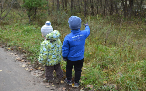 В Марий Эл могут начать снимать режим самоизоляции в три этапа