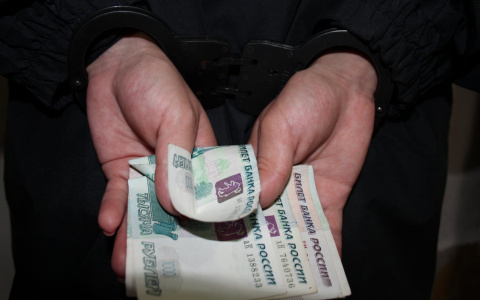 В Йошкар-Оле осудили сына бывшего министра госимущества республики