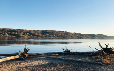 О погоде в Йошкар-Оле — в выходные ожидаются заморозки на почве