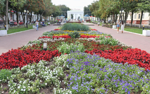 Более четырехсот тысяч цветов украсят столицу Марий Эл
