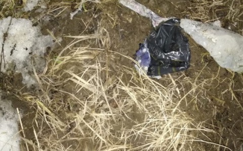 На окраине Йошкар-Олы нашли тело новорожденного ребенка: следователи восстанавливают картину событий