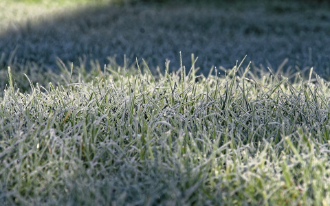 МЧС предупреждает: в Марий Эл ожидаются заморозки на почве