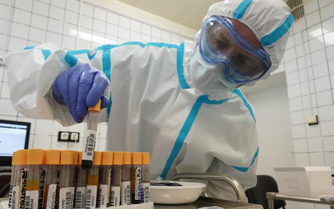 Тестирование на COVID-19 в Марий Эл: условия, цены, сроки готовности