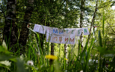 За сутки от коронавируса умер еще один житель Марий Эл