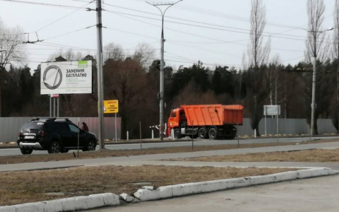 Авторская колонка: йошкаролинцы хотят спасти Сосновую рощу от «дороги смерти»