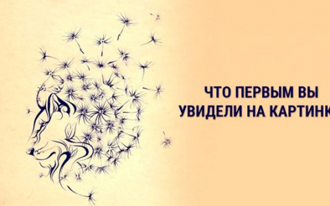 Тест дня: узнайте какое важное качество у вас с рождения