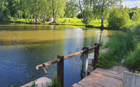 Трагедия в Марий Эл: двое детей утонули в пруду