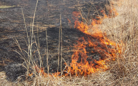 МЧС предупреждает жителей Марий Эл о «жаркой» опасности
