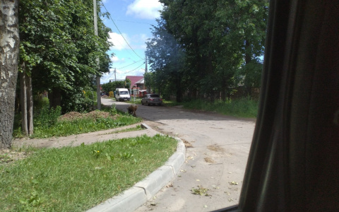 Йошкаролинцы заметили странного "пешехода" на Водопроводной