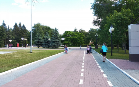 Йошкаролинцы подписывают петицию против «бешеных» велосипедистов