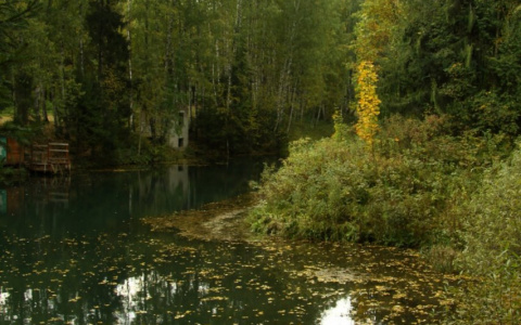 Ушел из дома и не вернулся: в Марий Эл жители деревни вытащили тело мужчины из пруда