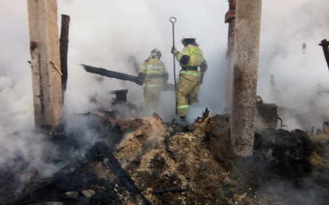 В Марий Эл поздно ночью на пилораме сгорел мужчина