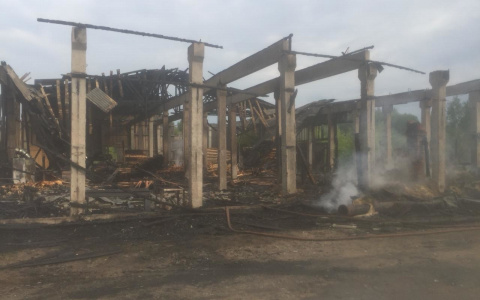 Появились подробности ночного пожара на пилораме, где сгорел житель Марий Эл