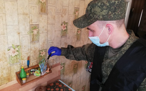 Жительница Марий Эл одним ударом ножа убила гражданского мужа