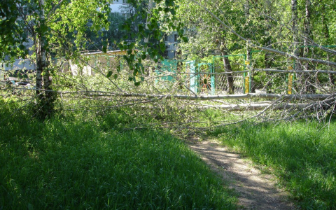 На Марий Эл вновь надвигается сильная гроза с ураганным ветром