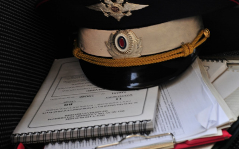 В Марий Эл пьяный водитель после полицейской погони попытался убежать в поле