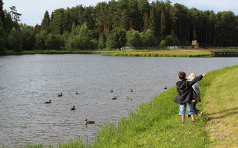 Решил охладиться: в Моркинском районе Марий Эл утонул мужчина