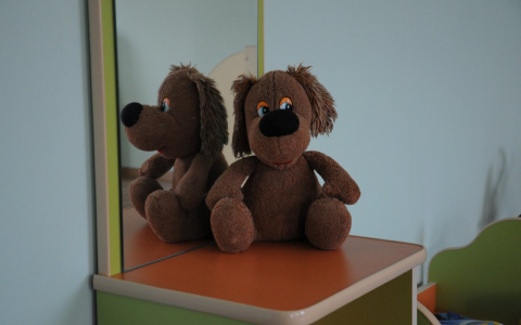 Известно, в каком режиме начнут работать школы и детсады в Марий Эл