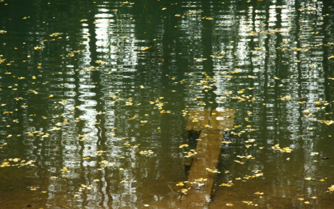 «Он подумал, что ребенок тонет»: житель Марий Эл погиб на котловане