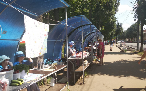 Йошкаролинцы против незаконной уличной торговли