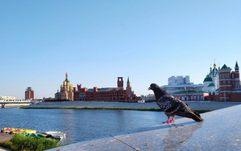 Без дождя и +30: синоптики рассказали о погоде в Йошкар-Оле на выходные