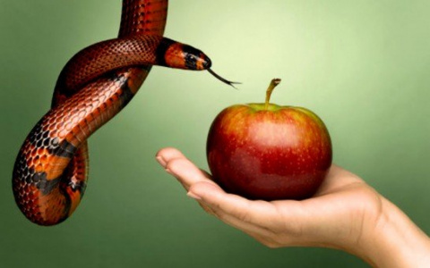 Тест дня: какой из семи смертных грехов ваш?